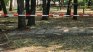Откриха труп на екопътека край Смолян, подозират убийство