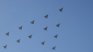 Още 3 F-16 за Украйна до края на годината: Ще стигнат ли за нуждите на Киев?