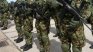 Сърбия преустановява износа на оръжие и военна техника