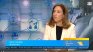 Експерт: Работодателите да провеждат обучения за работа с AI