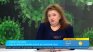 Проф. Александрова: Антибиотиците нямат никаква роля при грипните инфекции