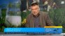 Млечните продукти у нас: Ниски изкупни цени и високи надценки в магазините