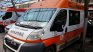 Домашно куче нахапа дете и две жени във Великотърновско