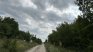 Вместо черната пантера - куче и котка: Свикаха кризисен щаб в Силистра