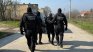 ГДБОП с акция: Удари мрежа за проституция