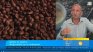 Как реколтата и търговските политики влияят на цените на кафето?