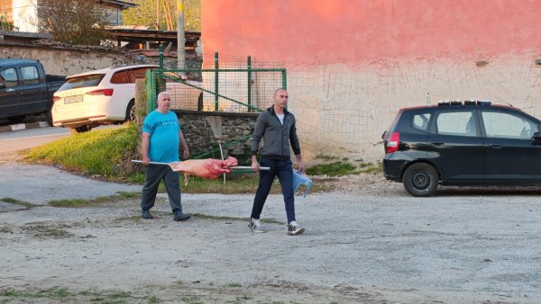 Снимка: БГНЕС