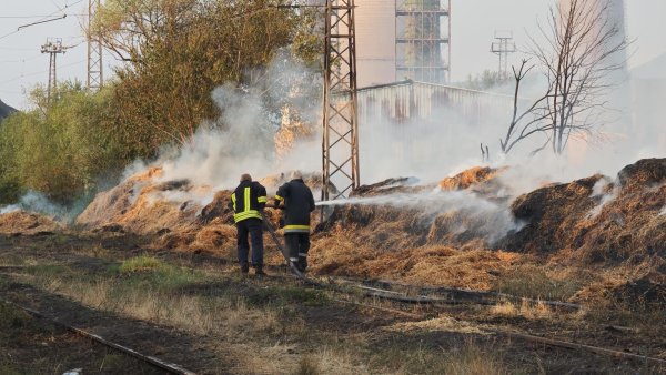 Снимки: БГНЕС