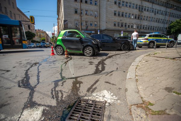 Снимка: Димитър Кьосемарлиев