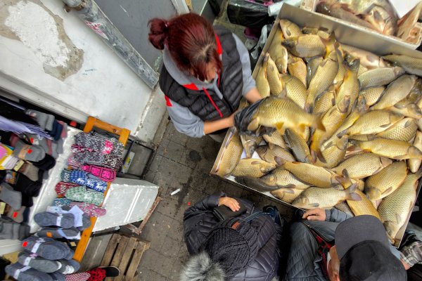 Димитър Кьосемарлиев, Dnes.bg