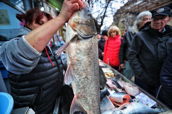 Димитър Кьосемарлиев, Dnes.bg