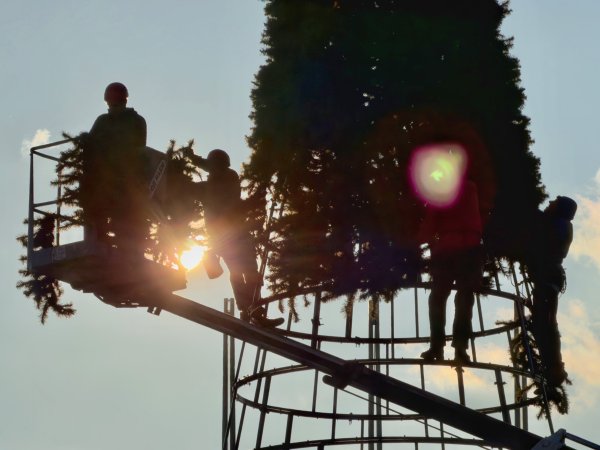 Димитър Кьосемарлиев, Dnes.bg