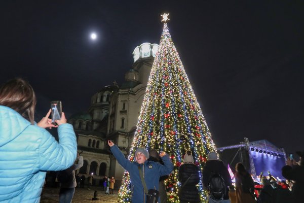 Снимка: Димитър Кьосемарлиев, Dnes.bg