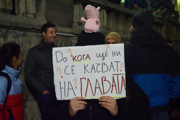 Снимка: БГНЕС