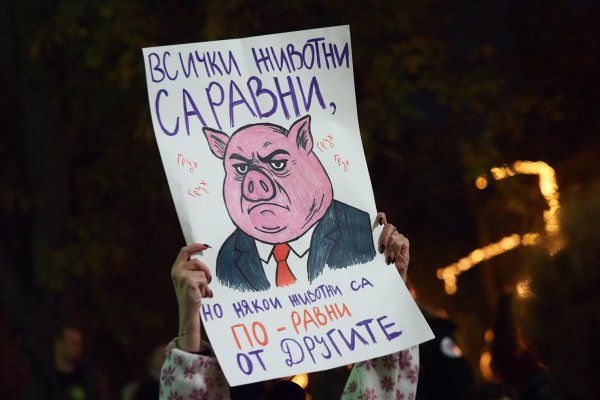 Снимка: БГНЕС