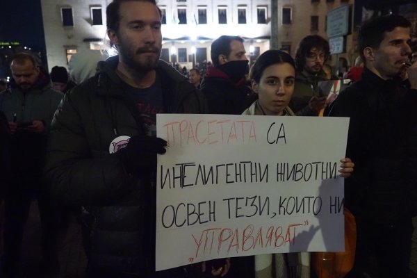 Снимка: БГНЕС