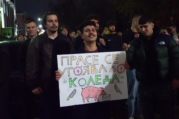 Снимка: БГНЕС