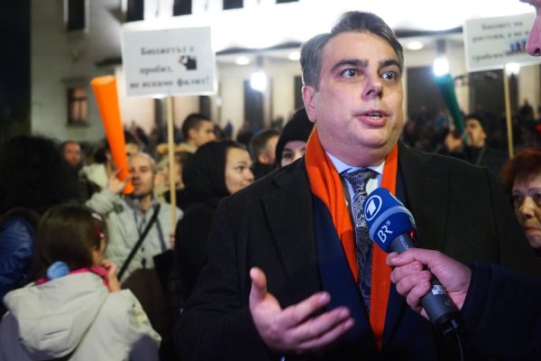 Снимка: БГНЕС