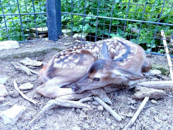 Снимка: Община Стара Загора