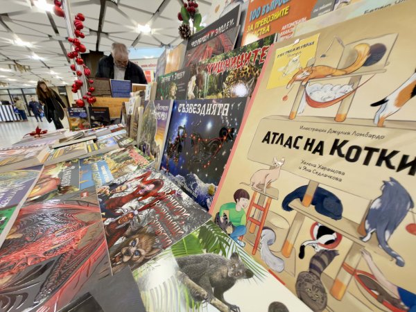 Снимка: Димитър Кьосемарлиев, Dnes.bg