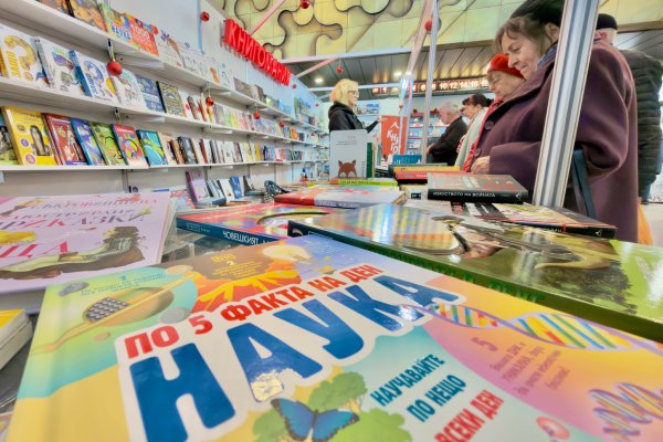 Снимка: Димитър Кьосемарлиев, Dnes.bg