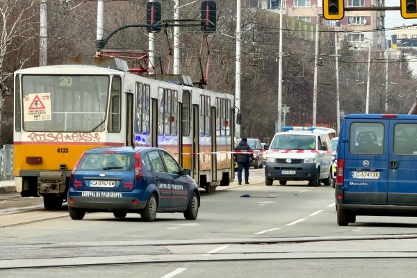 Снимка: Димитър Кьосемарлиев, Dnes.bg