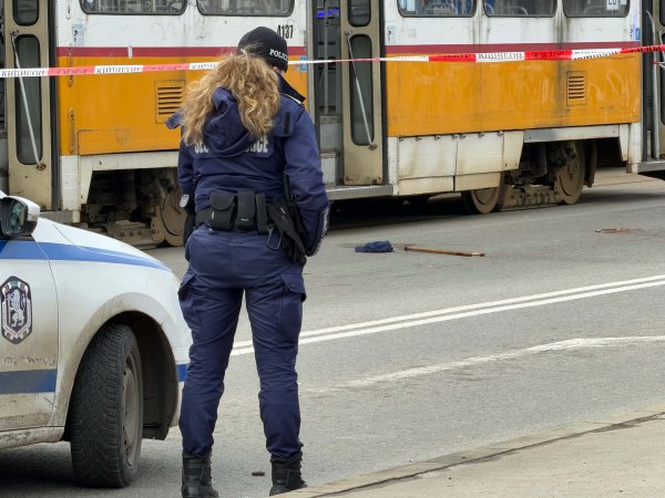 Снимка: Димитър Кьосемарлиев, Dnes.bg