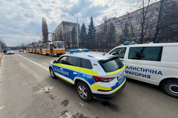 Снимка: Димитър Кьосемарлиев, Dnes.bg