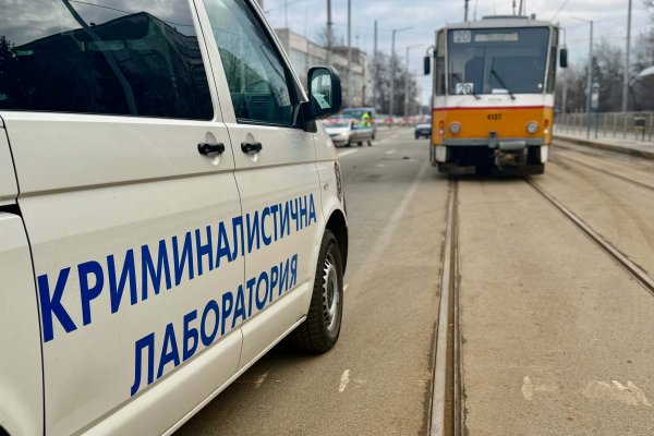 Снимка: Димитър Кьосемарлиев, Dnes.bg