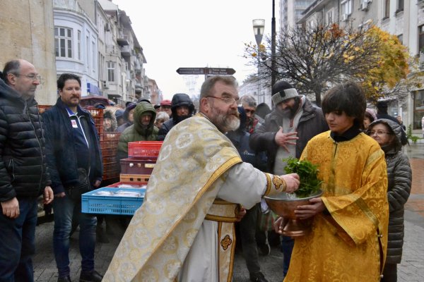 Снимка: БГНЕС