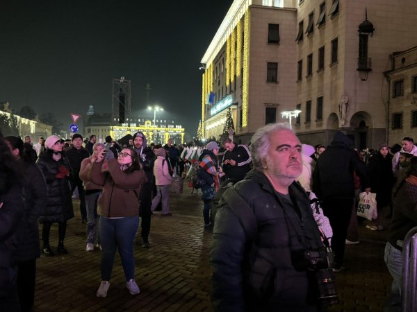 Снимка: БГНЕС