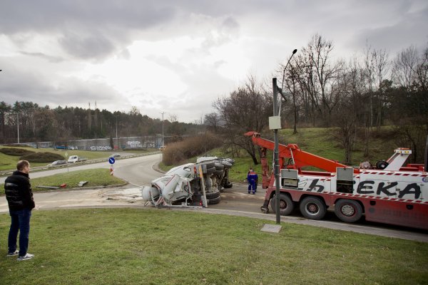 Снимка: Димитър Кьосемарлиев, Dnes.bg