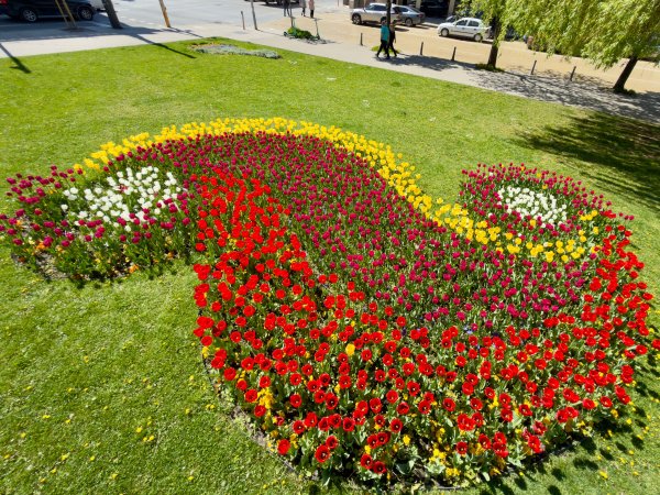 Димитър Кьосемарлиев, Dnes.bg