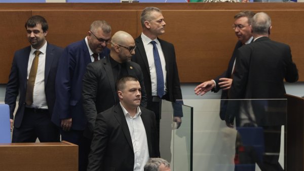 Снимка: БГНЕС