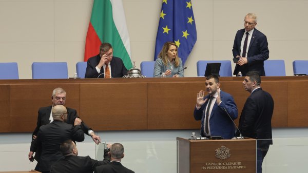 Снимка: БГНЕС