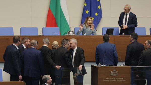 Снимка: БГНЕС