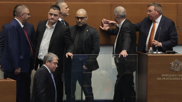 Снимка: БГНЕС