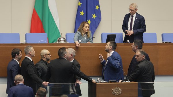 Снимка: БГНЕС