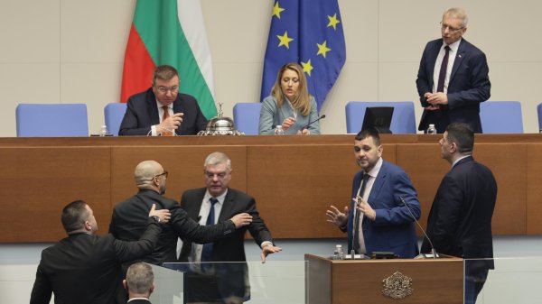 Снимка: БГНЕС