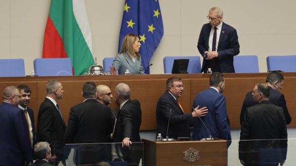 Снимка: БГНЕС