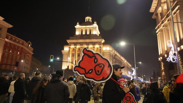 Снимка: БГНЕС