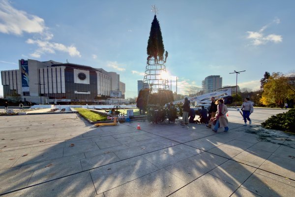 Димитър Кьосемарлиев, Dnes.bg