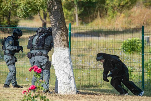Снимка: Димитър Кьосемарлиев