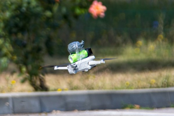 Снимка: Димитър Кьосемарлиев