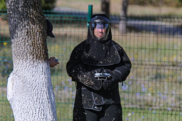 Снимка: Димитър Кьосемарлиев