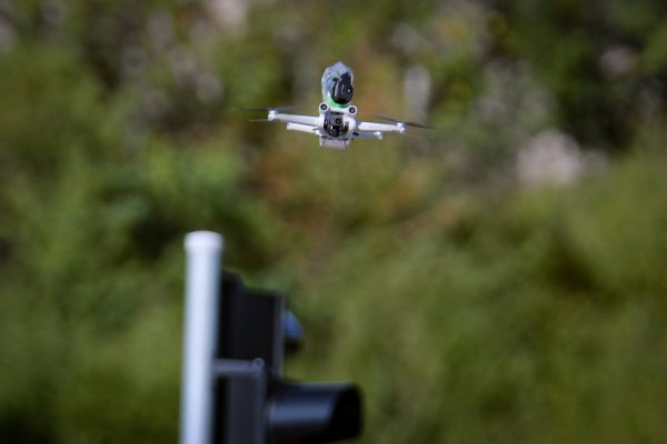 Снимка: Димитър Кьосемарлиев