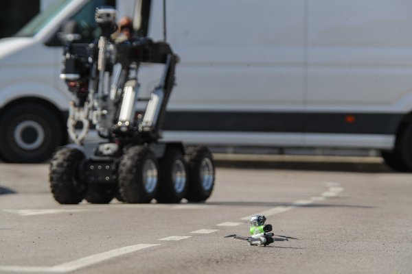 Снимка: Димитър Кьосемарлиев