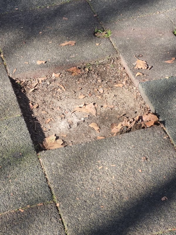 Снимка: HelpBook