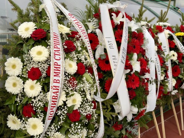 Димитър Кьосемарлиев, Dnes.bg