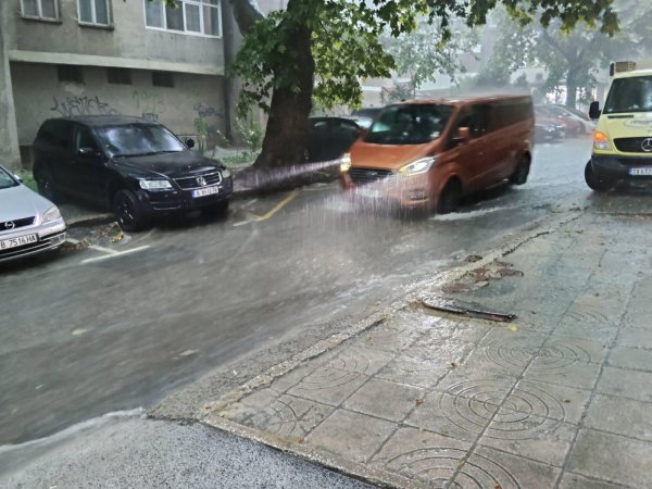 Снимки: БГНЕС
